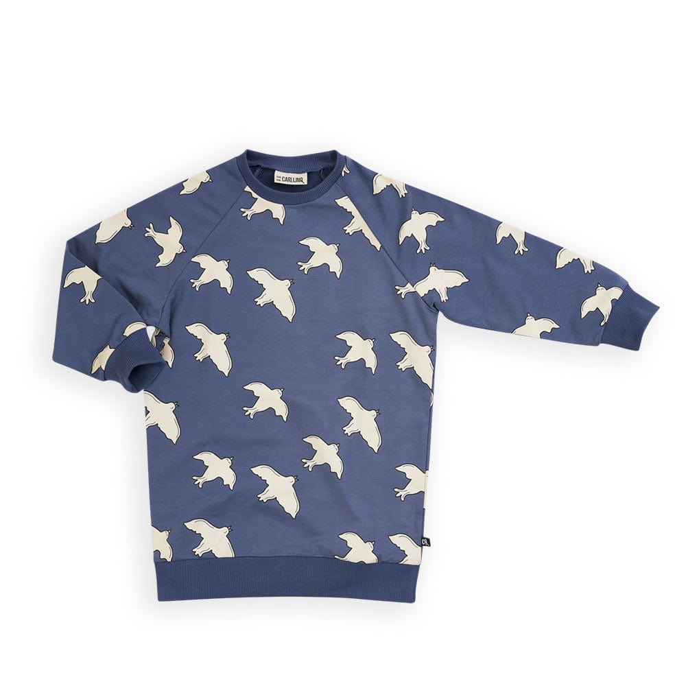 Carlijnq Dress Jellybeanzkids Carlijnq Free Like A Bird Sweaterdress