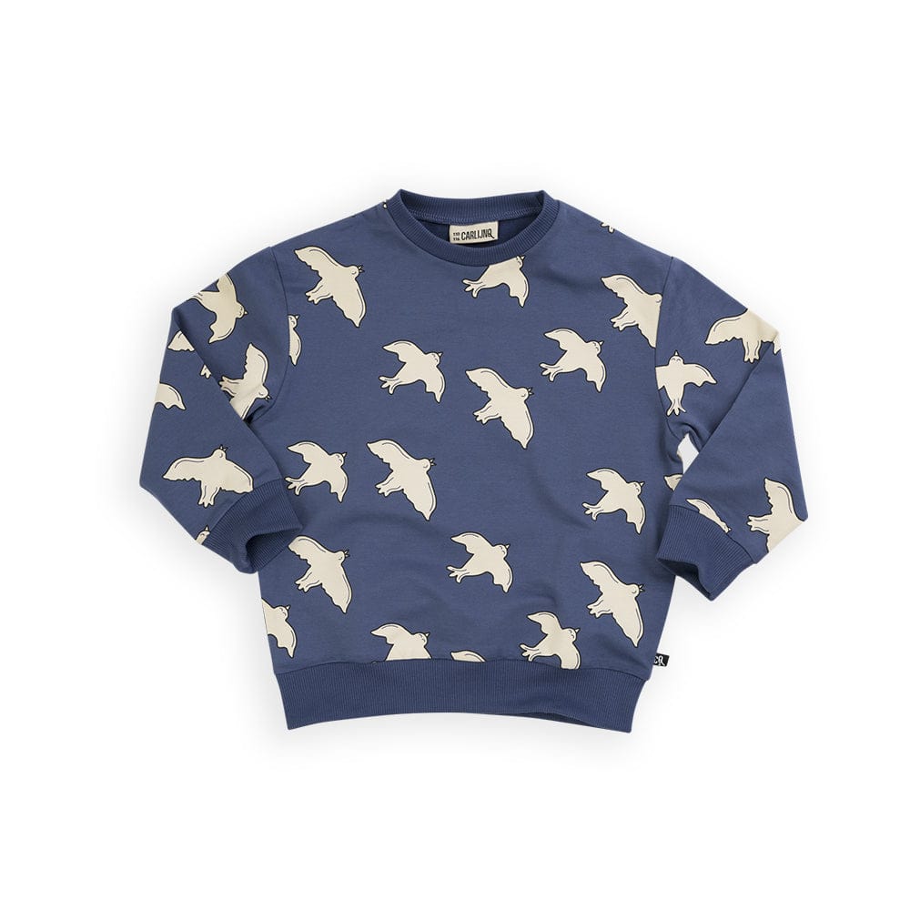 Carlijnq Sweater Jellybeanzkids Carlijnq Free Like A Bird Sweater