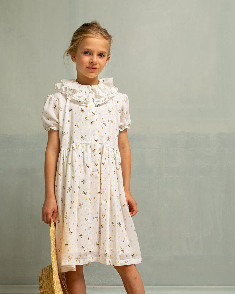 Cosmosophie Dress Jellybeanzkids Cosmosophie Eliette Carusso Dress