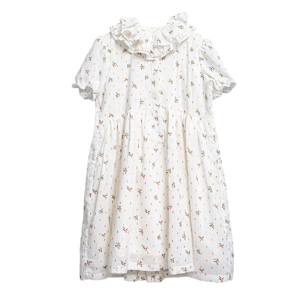 Cosmosophie Dress Jellybeanzkids Cosmosophie Eliette Carusso Dress